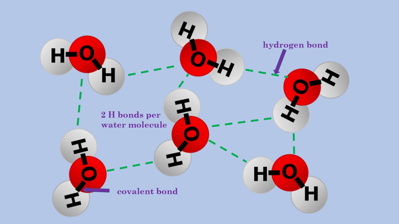 Hydrogen Bonding In Water Diagram